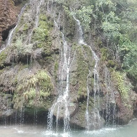 Akbulut Garden 빌라