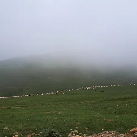 빌라 Akbulut Garden 기레순