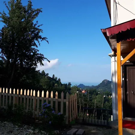 Akbulut Garden *